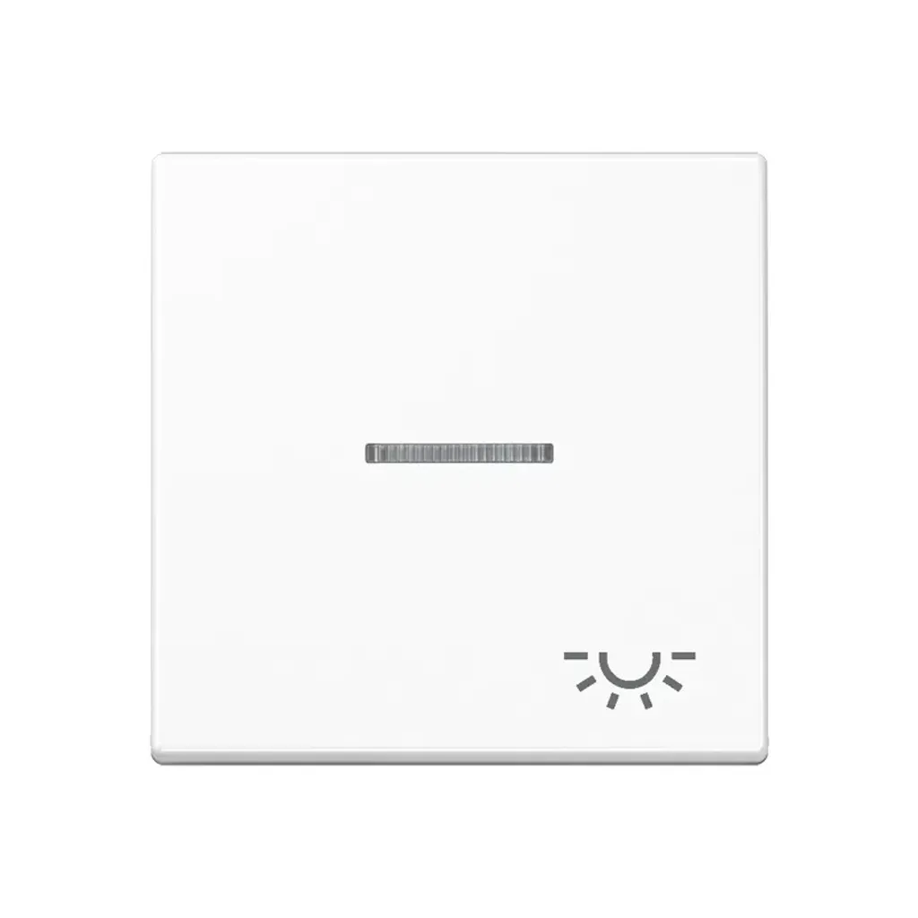 Interrupteur Blanc Jung A590KO5LWW : Fini les Rayures et le Jaunissement