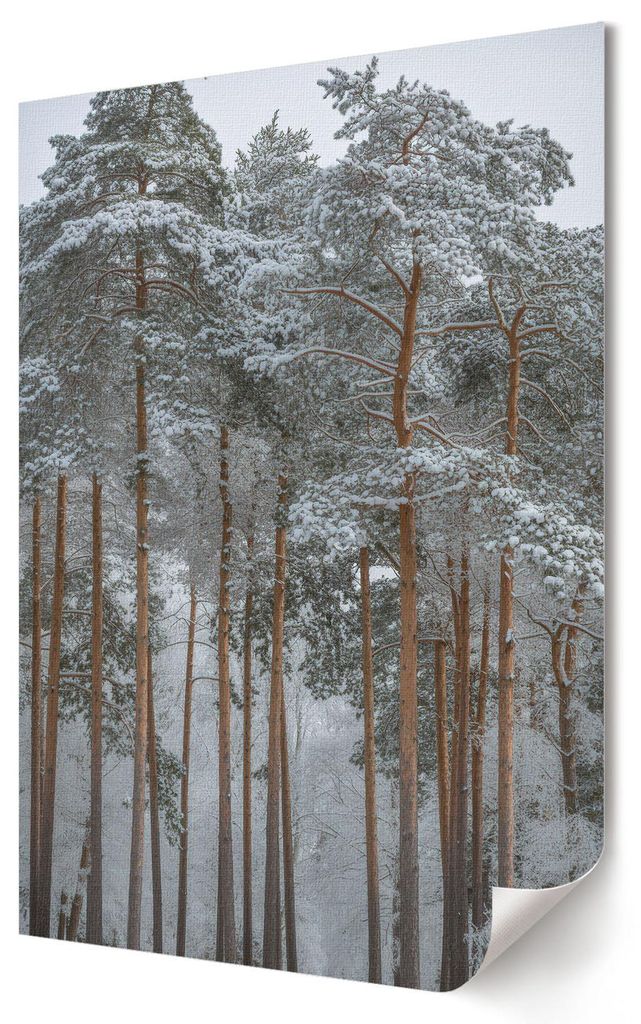 Waldwinter- Kunstdruck A1 (59x84 cm) - Klassisch, rustikal- Wandbild für Wohnzimmer Schlafzimmer & Flur, Modernes Poster Wanddeko, Ungerahmt
