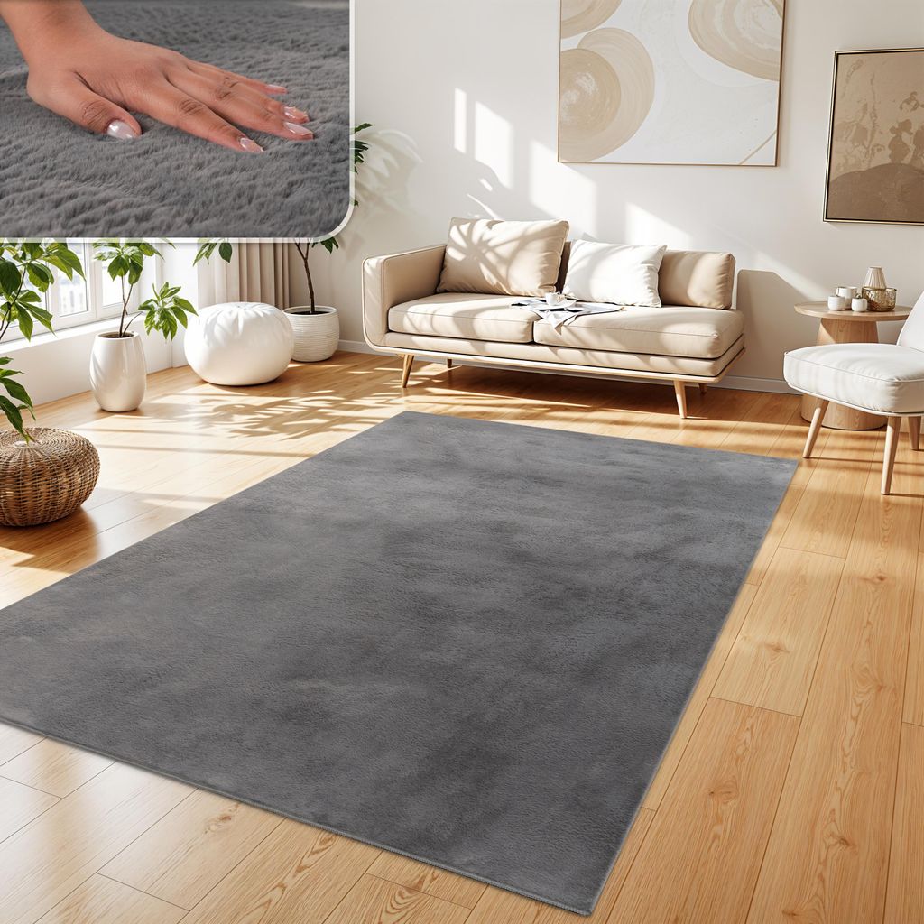 A living room scene with a rug, sofa, and plants.