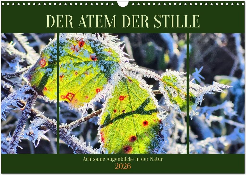 Der Atem der Stille - Achtsame Augenblicke in der Natur (Wandkalender 2026 DIN A3 quer), CALVENDO Monatskalender