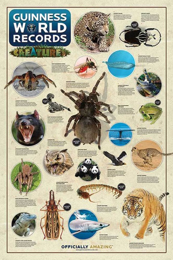 Guinness World Records Poster Creatures