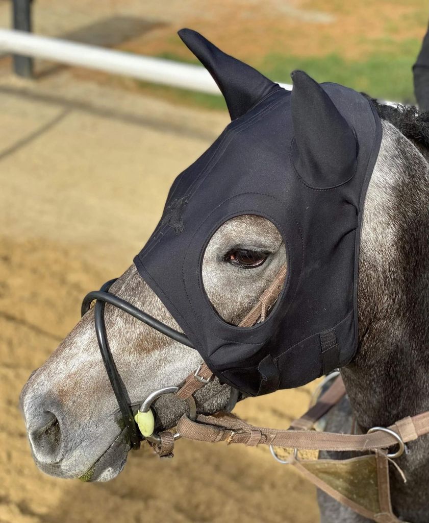 Fenwick Equestrian Maske Liquid Titanium mit Ohren Produktbild 