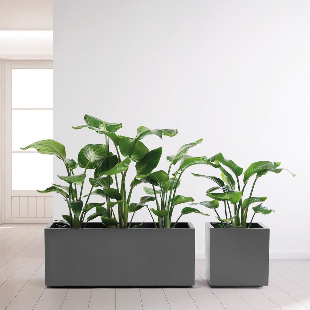 euro3plast 315-462 Pflanzkasten Greener Kebe 100cm, Produktbild 5
