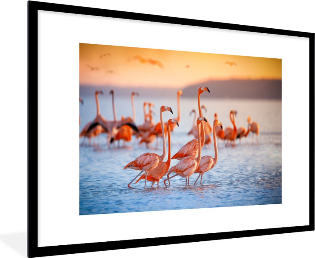 MuchoWow Gerahmtes Poster Flamingo - Tiere - Wasser - Rosa 90x60 cm - Poster mit Schwarzem Bilderrahmen Wandposter Rahmen Foto Bilder - Wanddekor...
