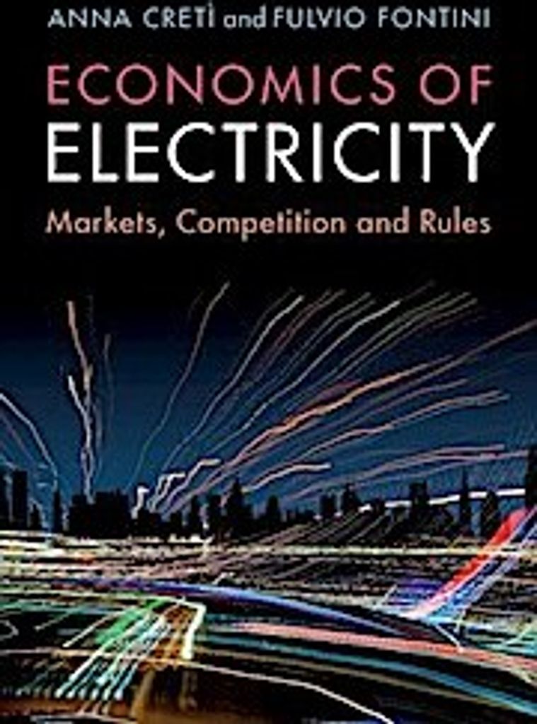 Ökonomie der Elektrizität: Märkte, Wettbewerb und Regeln