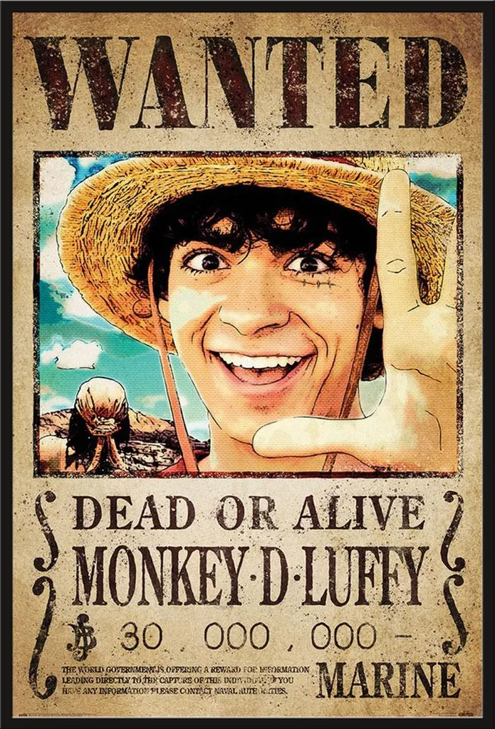 Poster One Piece Sous Cadre Vitré Protégé Contre Poussière et Déchirures