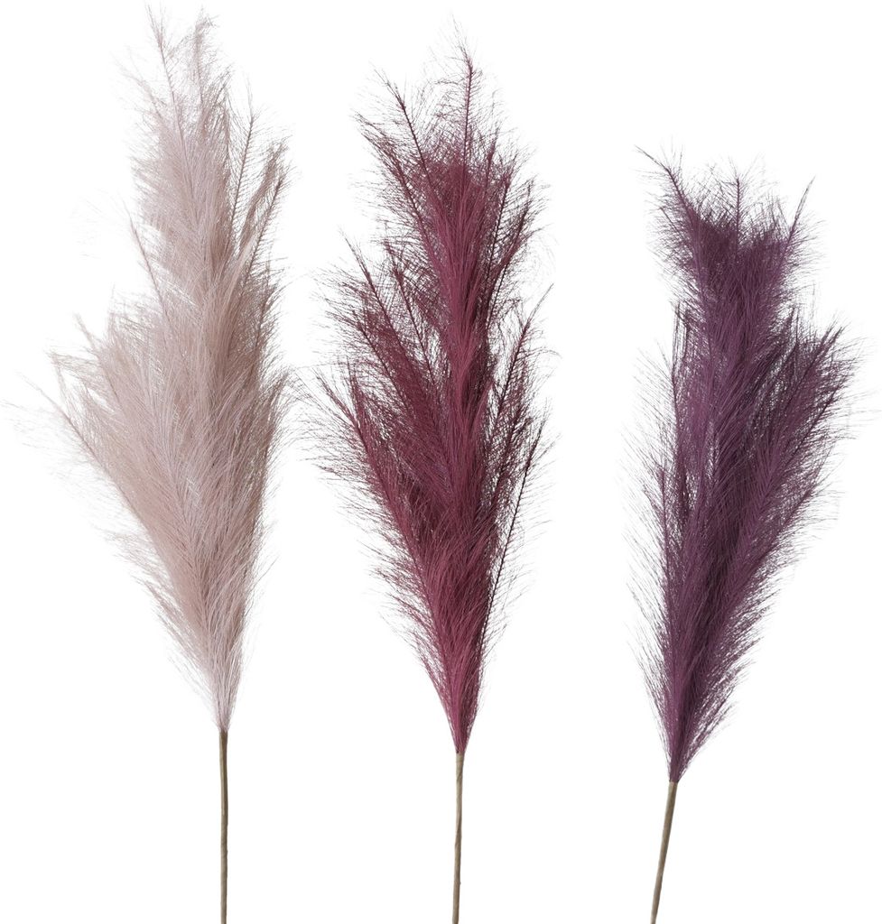 Boltze Gruppe Dekozweig Pampasgras sortiert 1 Stück