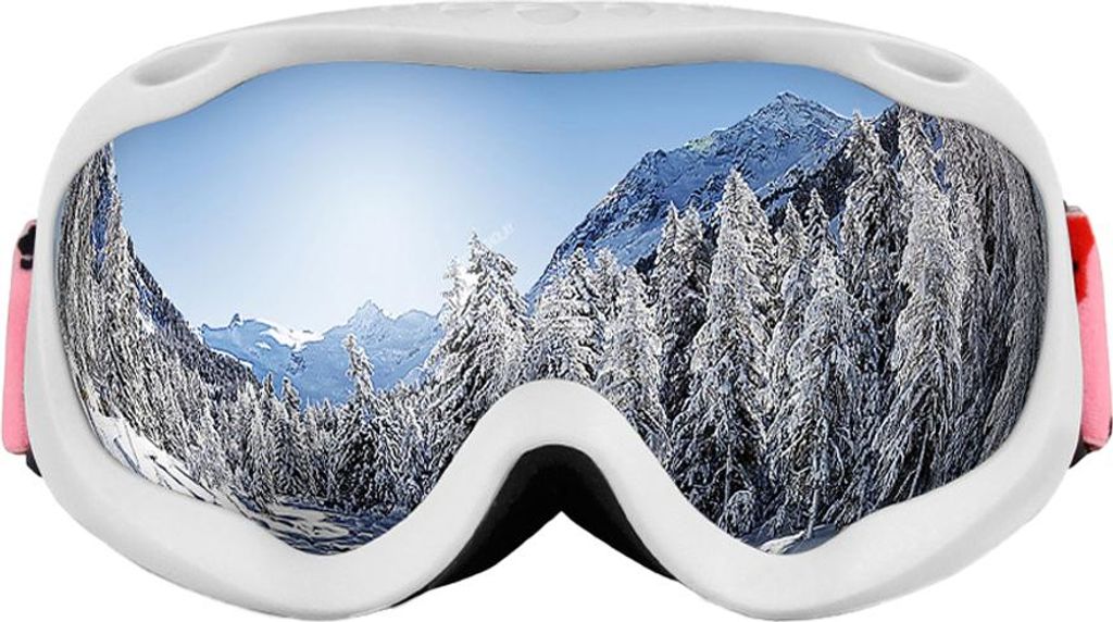Doppelte Antibeschlag-Skibrille mit großer sphärischer Oberfläche für Erwachsene, Herren und Damen