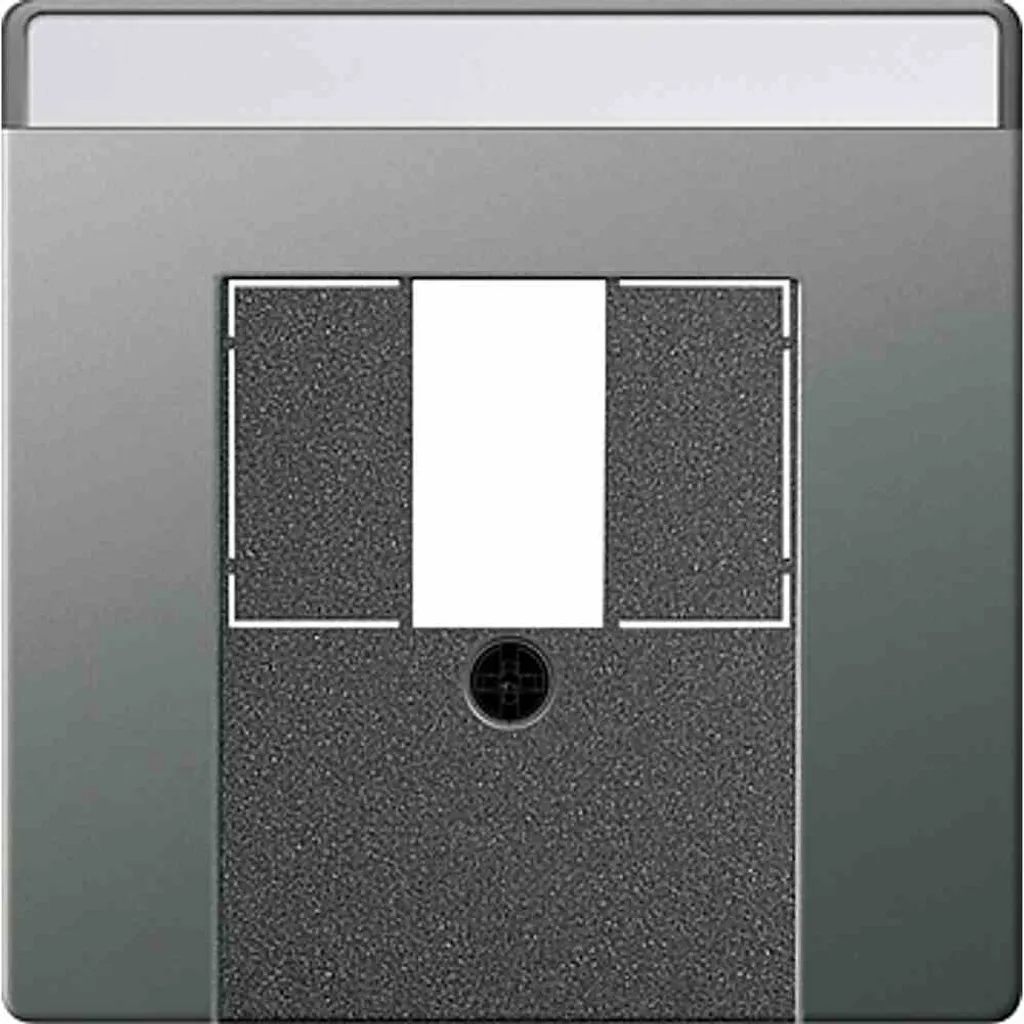 Plaque centrale Gira 0876600 pour prise USB et TAE - Solution inox élégante