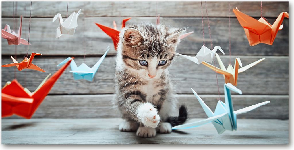Tulup Glas-Bild - 100x50 -Wandkunst - Wandbild hinter gehärtetem Sicherheitsglas - Tiere - Katze Vögel Papier - Mehrfarbig