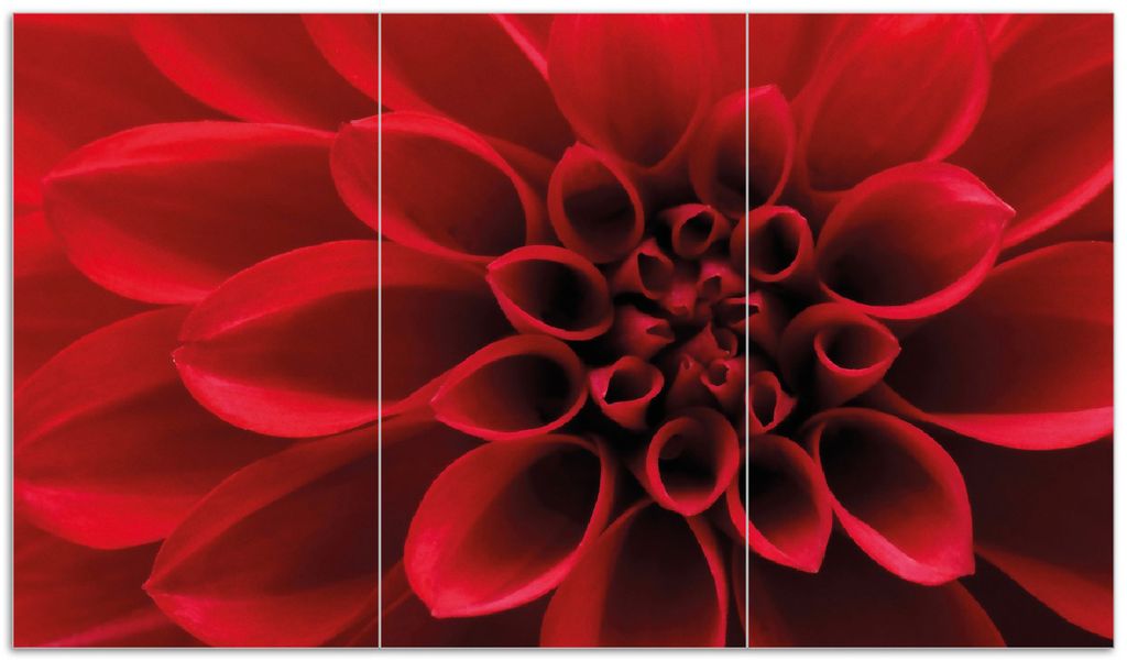 Wallario Herdabdeckplatte aus Glas, Größe 90 x 52 cm 3-teilig, Motiv Rote Dahlienblüte in Nahaufnahme