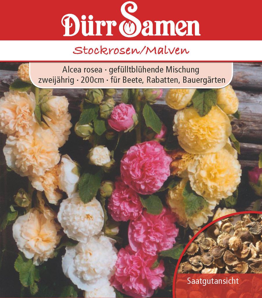 Dürr-Samen - Malwy / Malwy dwuletnie 200 cm - Nasiona - Zdjęcie produktu 