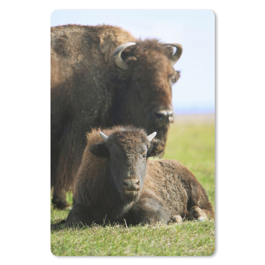 MuchoWow Mauspad Mousepad Büffel - Gras - Kalb 40x60 cm - Mousepads - Maus Mat - Pad - Mausunterlage - Schreibtisch Accesoire