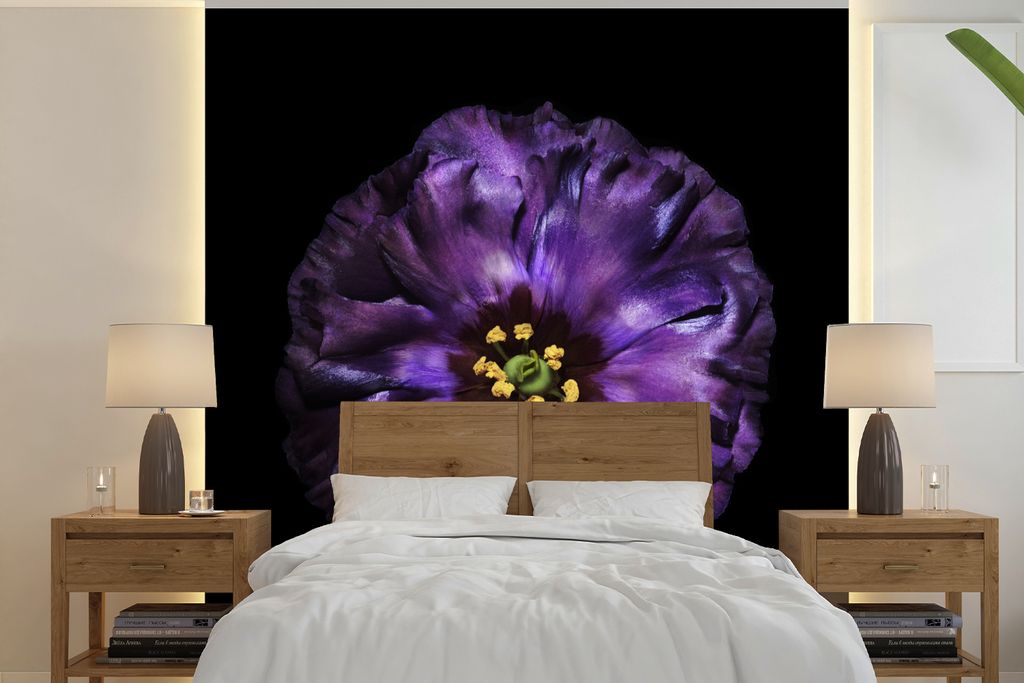 MuchoWow Fototapete für Wohnzimmer oder Schlafzimmer Wandtapete Vinyl Motivtapete Eine violette Blume vor schwarzem Hintergrund abgebildet - 260...