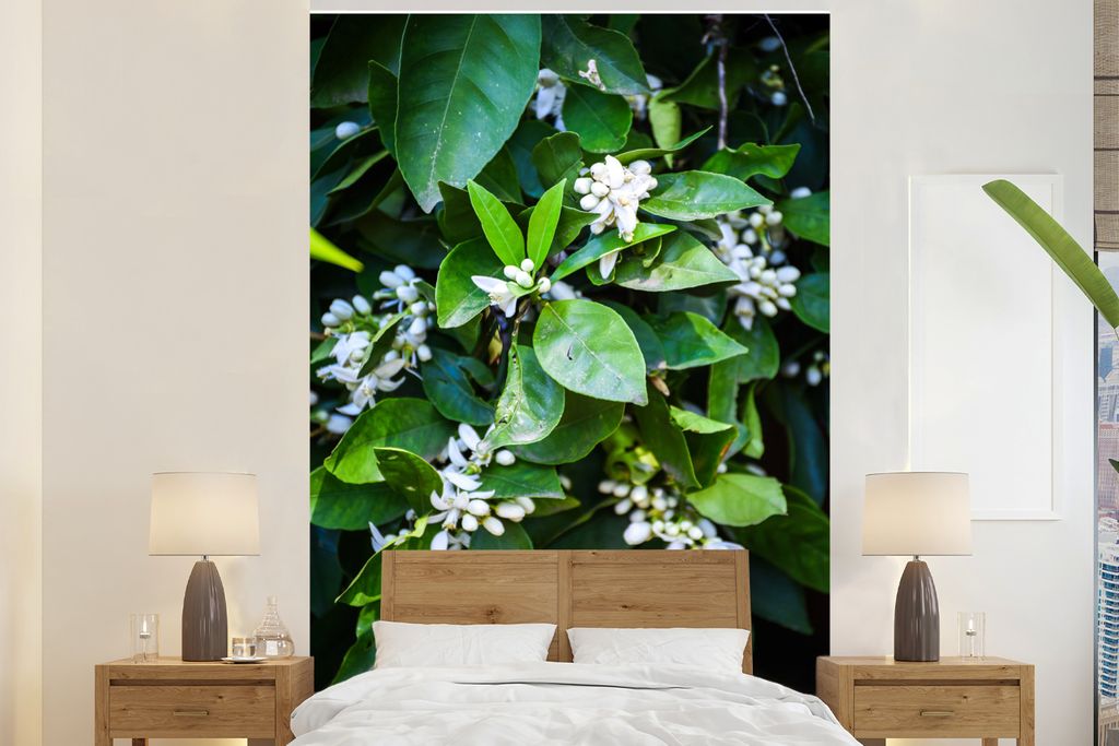 MuchoWow Fototapete für Wohnzimmer oder Schlafzimmer Wandtapete Vinyl Motivtapete Orangenblüte zwischen grünen Blättern - 195x300 cm - Das Hi...