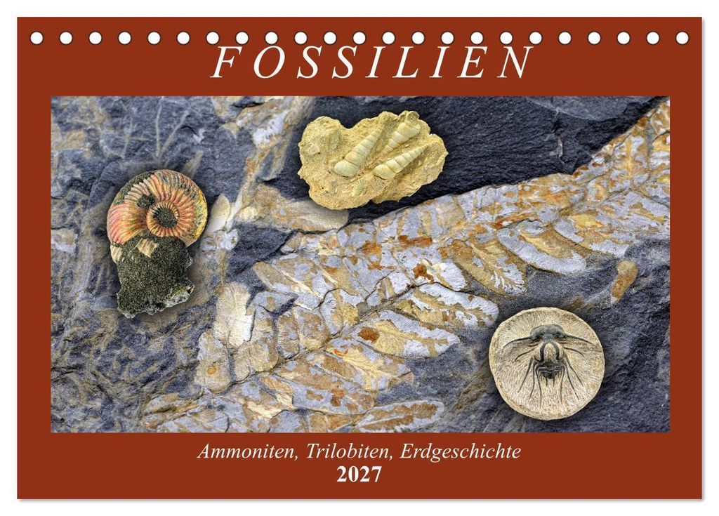 Fossilien - Ammoniten, Trilobiten, Erdgeschichte (Tischkalender 2027 DIN A5 quer), CALVENDO Monatskalender
