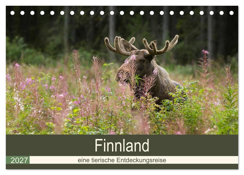 Finnland: eine tierische Entdeckungsreise (Tischkalender 2027 DIN A5 quer), CALVENDO Monatskalender