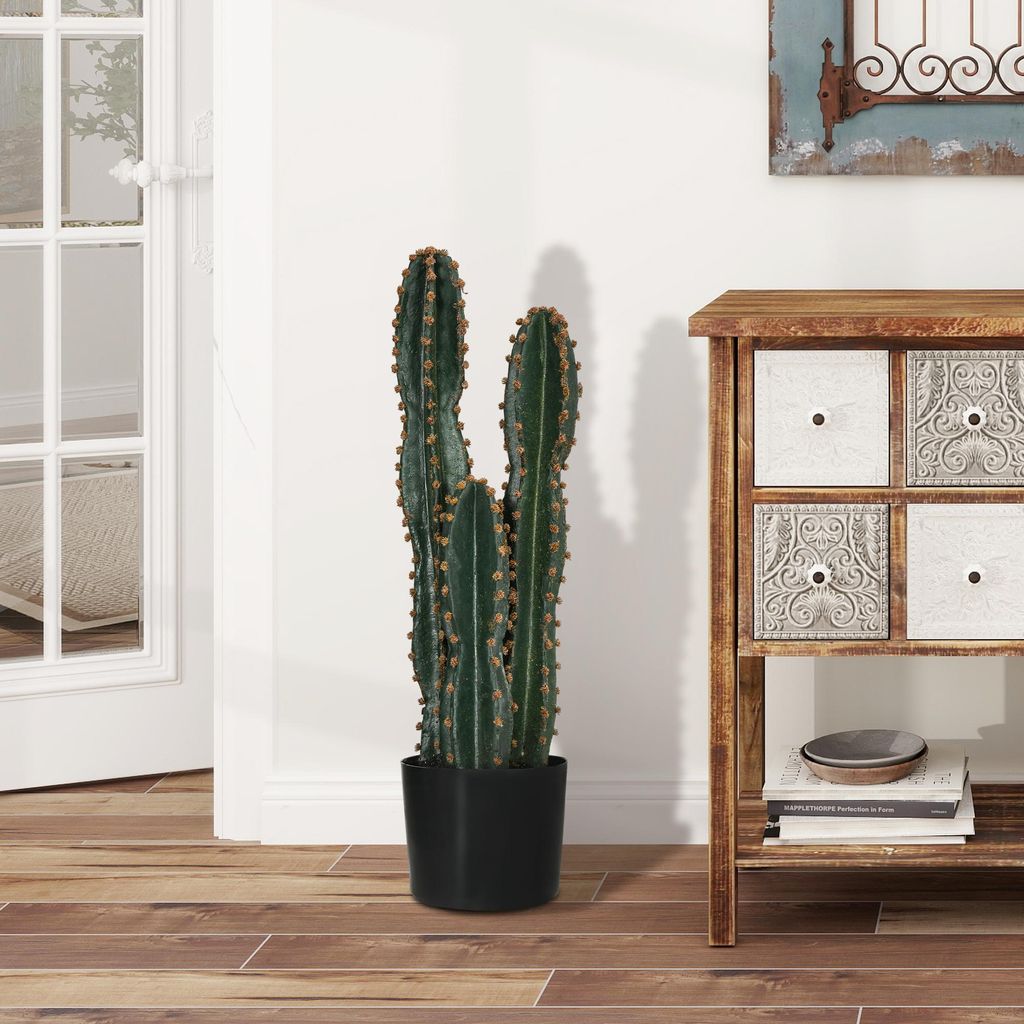 kaktus mandala Cactus Mandala – sujata pratibimba