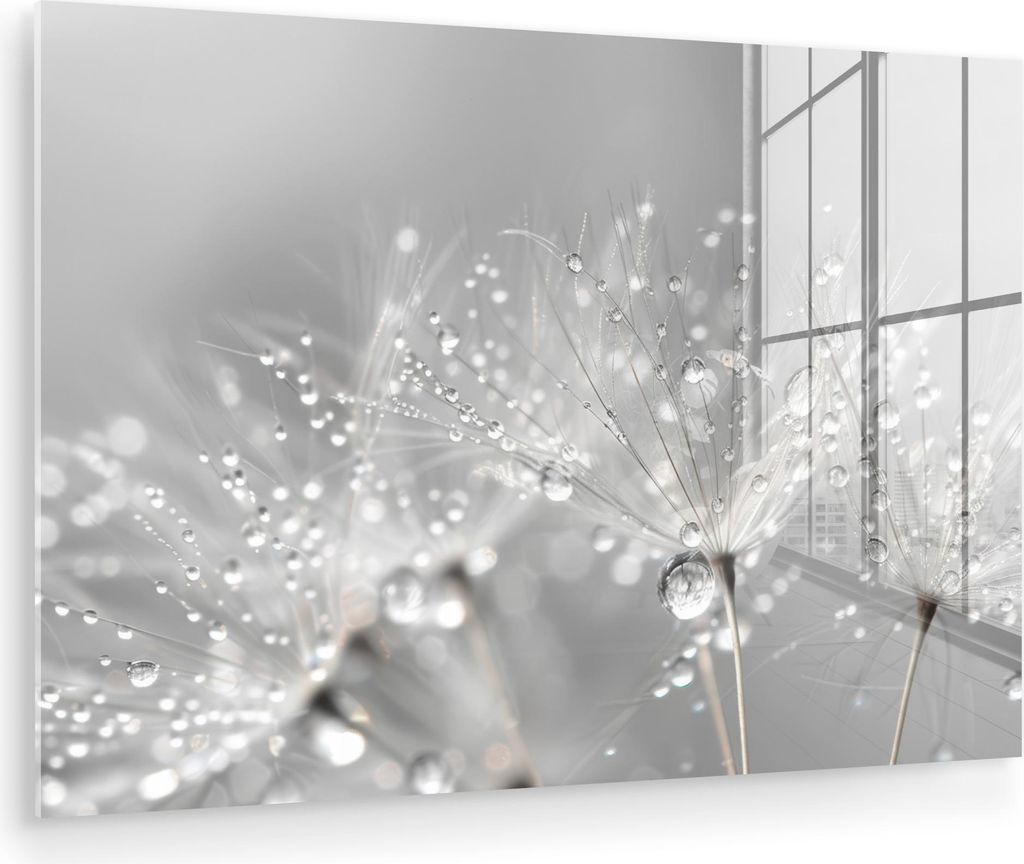 MuchoWow Glasbilder - Bilder auf Wandbild - Foto auf Glas Löwenzahn - Wassertropfen - Stilleben - Modern 90x60 cm Wanddekoration aus Glas - Acrylg...