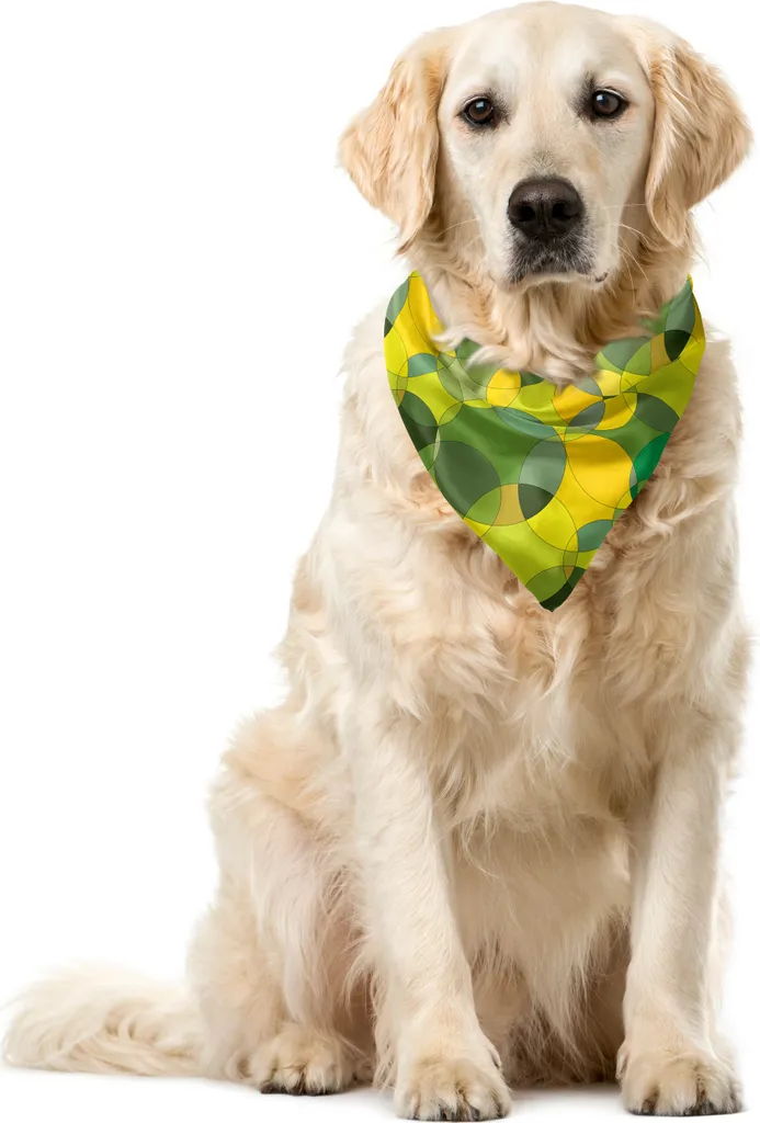 Seggiolino Auto Per Cani Stabile E Traspirante Fino A 12 Kg | Cuccia Pieghevole In Oxford 600D Per Sedile Posteriore | Anti-graffio E Lavabile | Per Viaggi Sicuri In Macchina