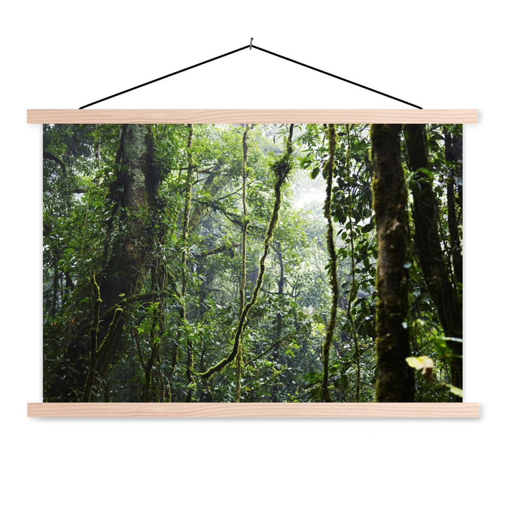 MuchoWow Textilposter Tropischer Regenwald 120x80 cm mit holzfarbenen Rahmen - Aufhängeset