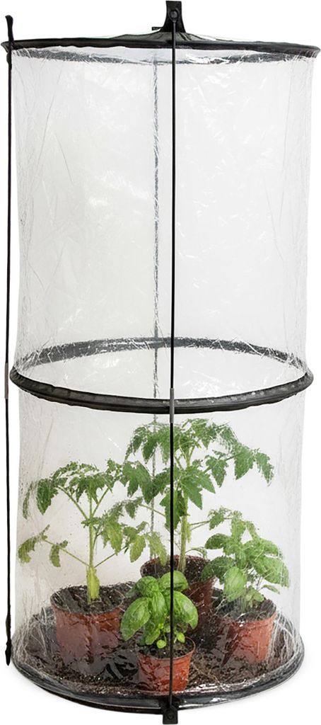 Pop-Up Folien Gewächshaus für Tomaten - 110 x 49 cm - Produktbild 