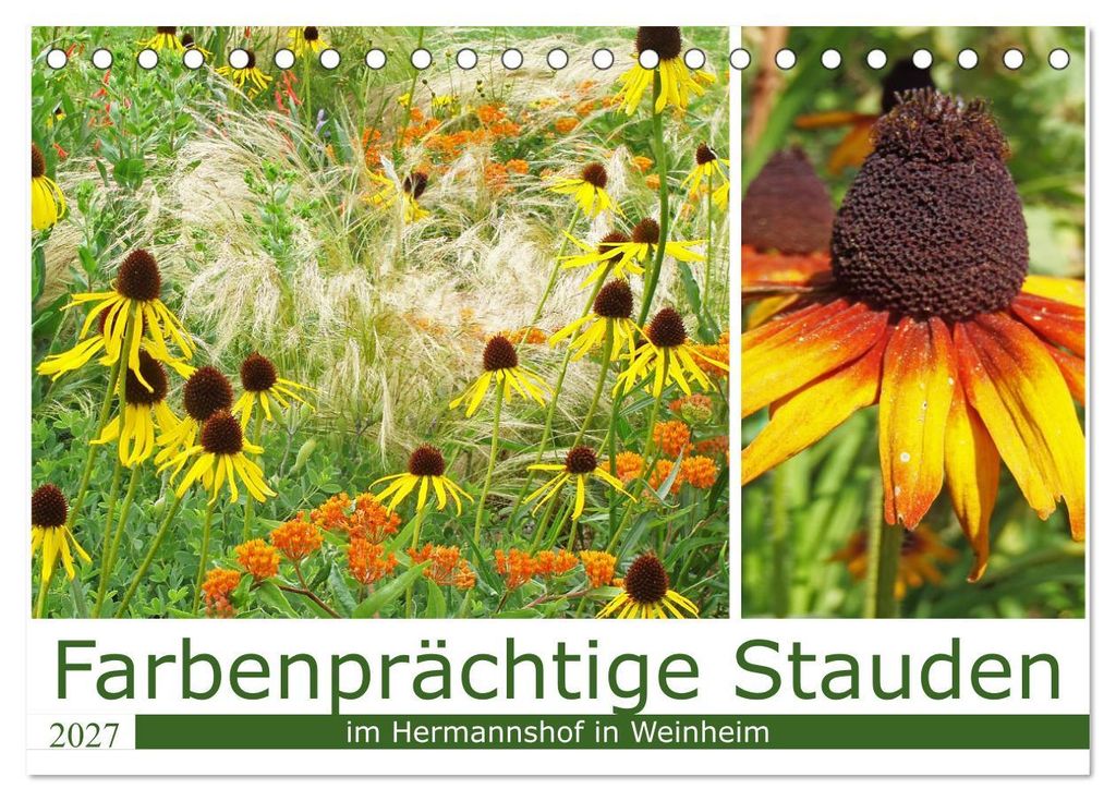 Farbenprächtige Stauden im Hermannshof in Weinheim (Tischkalender 2027 DIN A5 quer), CALVENDO Monatskalender