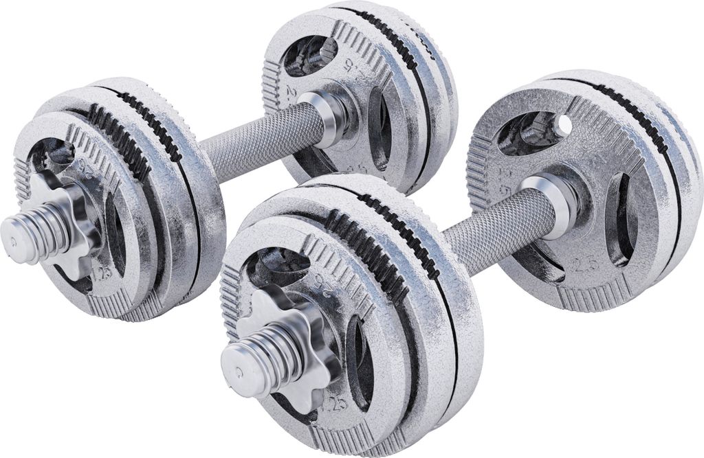 GORILLA SPORTS Kurzhanteln - 30kg, 2er Set, 4x1,25kg, 8x2,5kg Gewichte, Gusseisen Hantelscheiben, 30mm, mit 4 Sternverschlüssen, Griff gerändel...