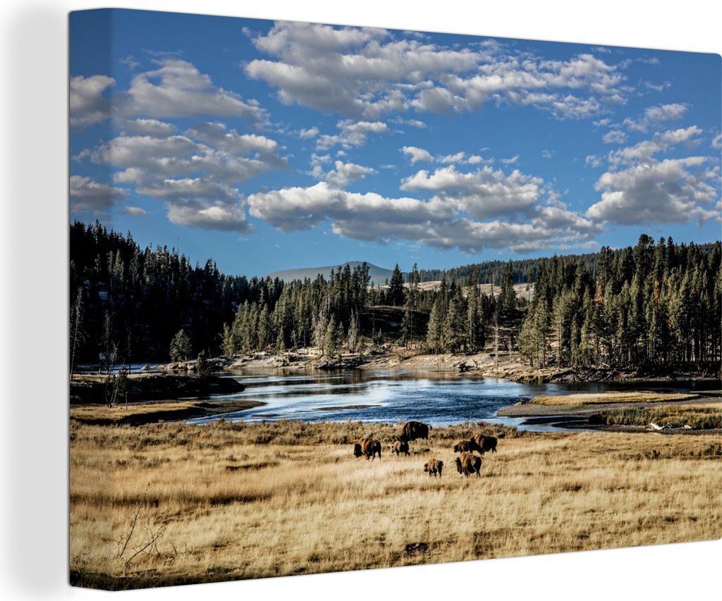 OneMillionCanvasses - Leinwandbilder - 140x90 cm, Landschaft - Baum - Bison, Wandbilder Kunstdruck Wanddekoration
