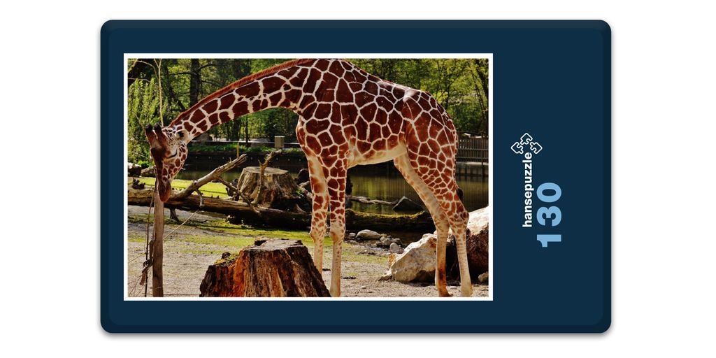 hansepuzzle 18910 - Giraffe Puzzle, 130 Teile, Tierwelt, 28,7 x 20,0cm mit hochwertiger Aufbewahrung, Kartonbox und wiederverschließbarem Beutel