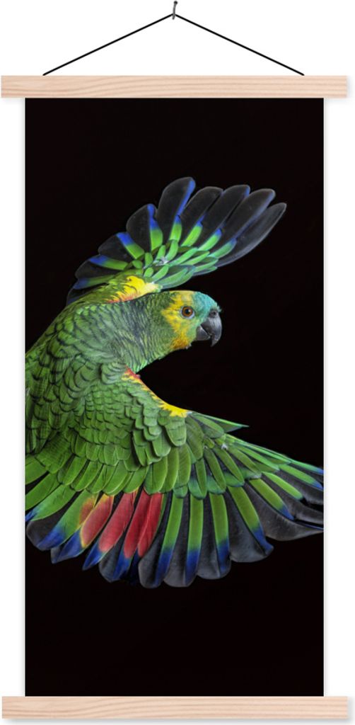 MuchoWow Textilposter Nahaufnahme bunter Papagei 40x80 cm mit holzfarbenen Rahmen - Wohnzimmer