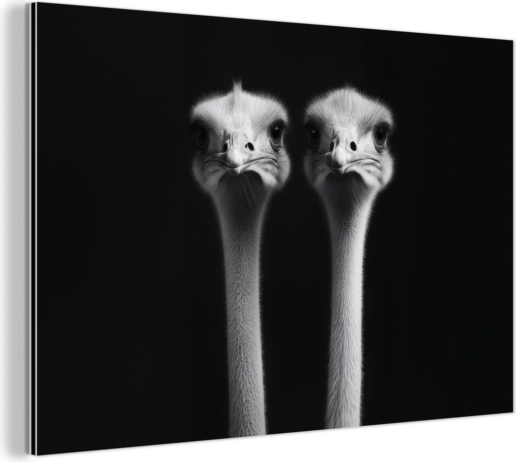 MuchoWow Wanddekoration Metall Metallbild Wandkunst 60x40 cm Strauße - Hälse - Schwarz - Minimalistisch MuchoWow Aluminium Gemälde - Gemälder