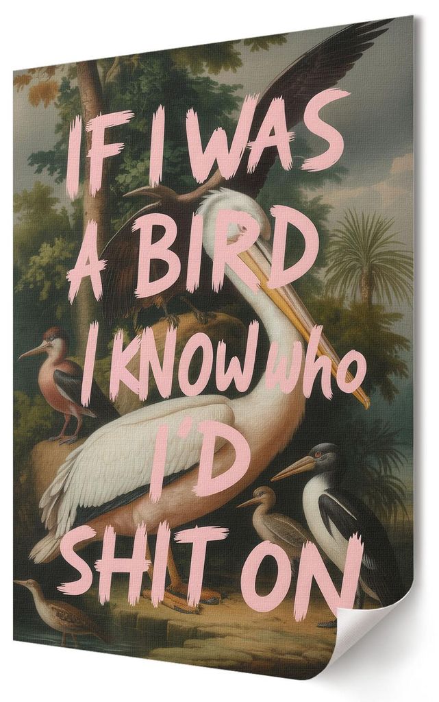 Vögel mit einer Inschrift- Kunstdruck A1 (59x84 cm) - Ausdrucksstark, humorvoll- Wandbild für Wohnzimmer Schlafzimmer & Flur, Modernes Poster Wan...