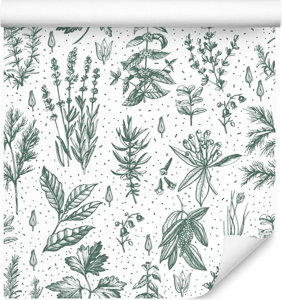 10m VLIES TAPETE Rolle Natur Heilpflanzen Blätter Wiese Flora Gemalt XXL