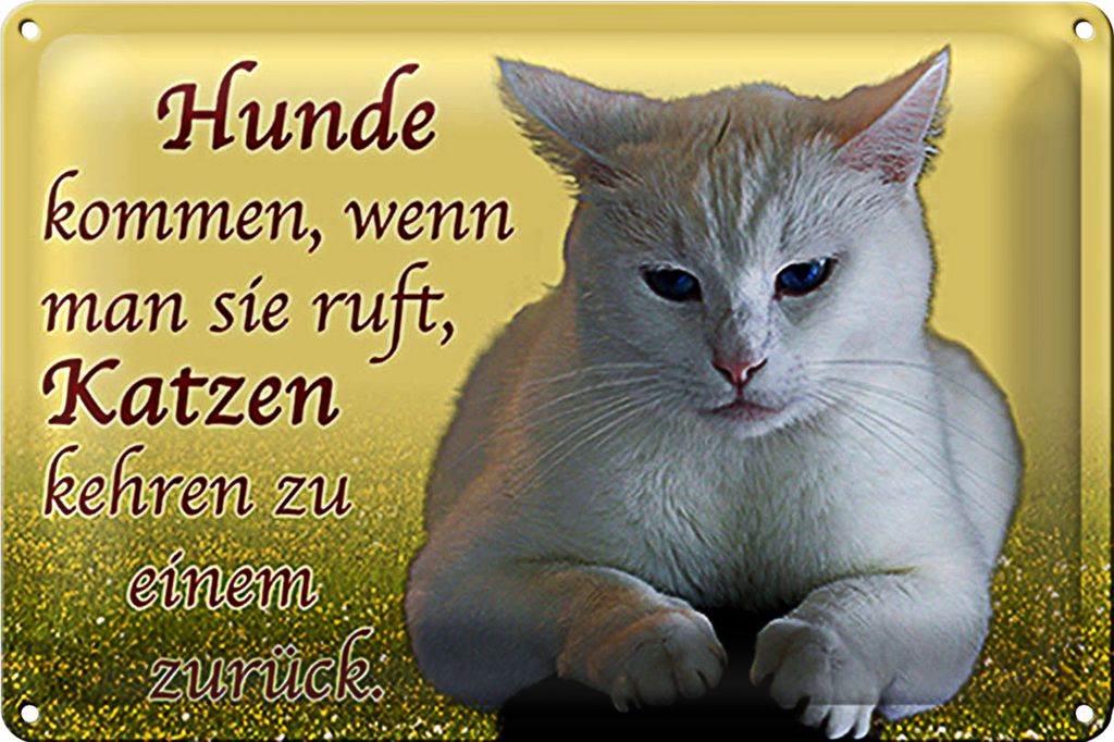 Blechschild Spruch 18x12cm Hunde kommen Katzen kehren zurück