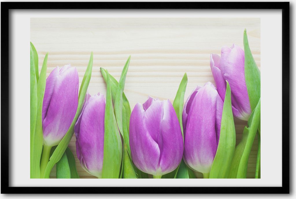 Bild 60x40 MDF-Rahmen, Wandkunst lila Tulpen Produktbild 