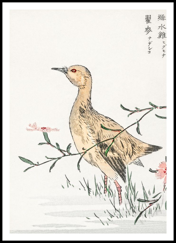 Plakat 70x100cm Rotschenkel, Japanische Kashu Vintage für das Wohnzimmer