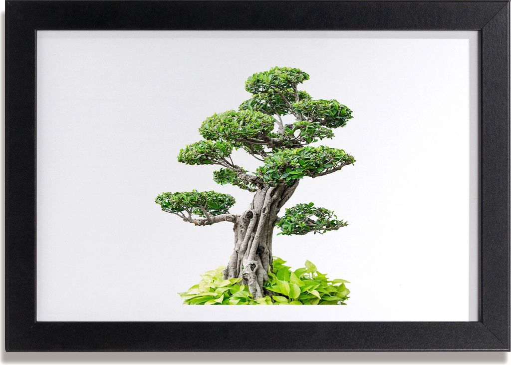 Bild 30x20 MDF-Rahmen, Wandkunst Bonsai Baum