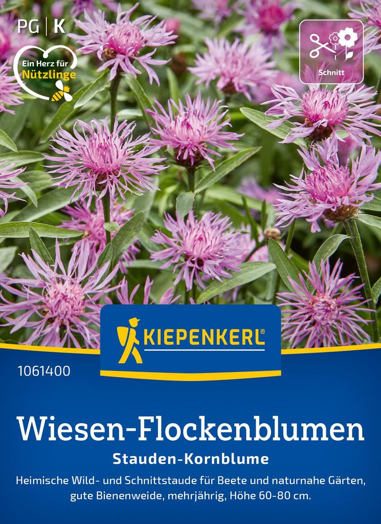 Artikelbild 2 von 'Wiesen-Flockenblumen Stauden-Kornblume' aus der Kategorie Blumensamen