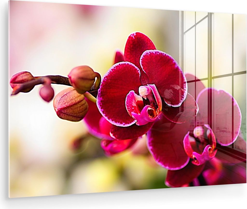 MuchoWow Glasbilder - Bilder auf Wandbild - Foto auf Glas Nahaufnahme von roten Orchideen vor einem unscharfen Hintergrund 120x80 cm Wanddekoration...