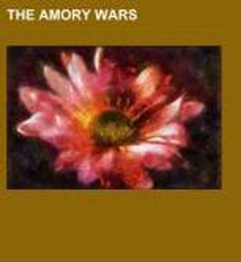 The Amory Wars