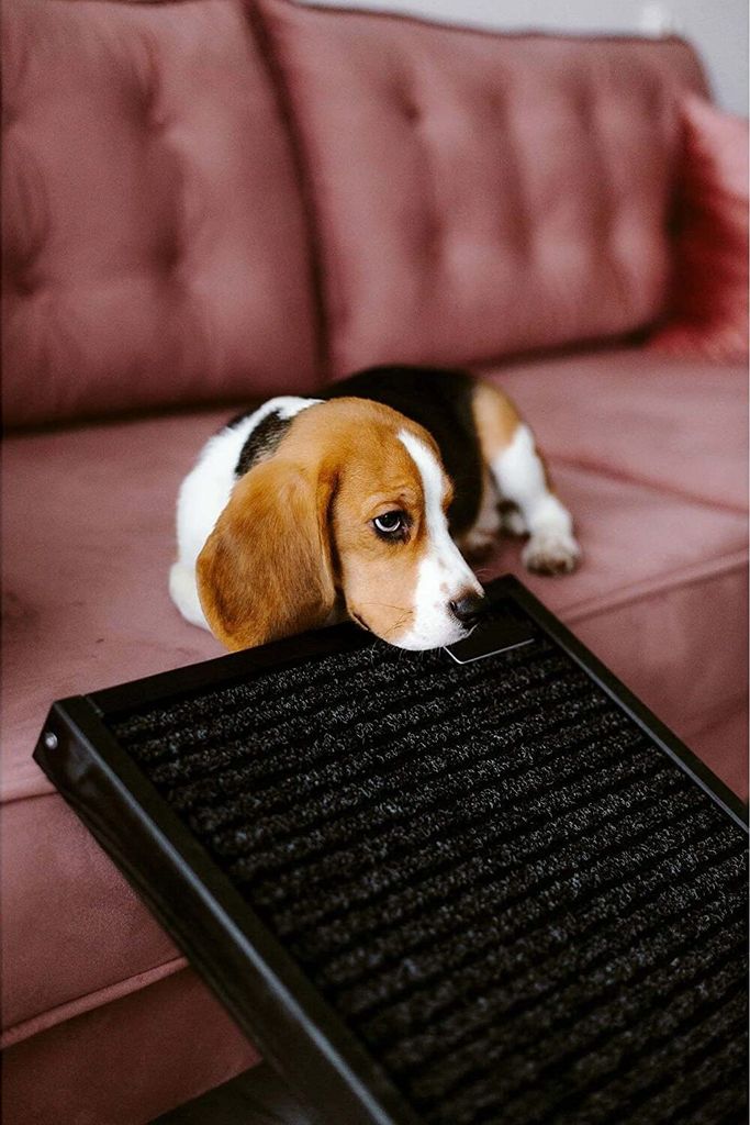Hunderampe Hundetreppe Hundeautorampe Kofferraumrampe Produktbild 8