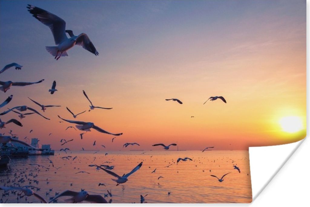 MuchoWow Poster Möwen - Meer - Sonnenuntergang 90x60 cm - Schlafzimmer