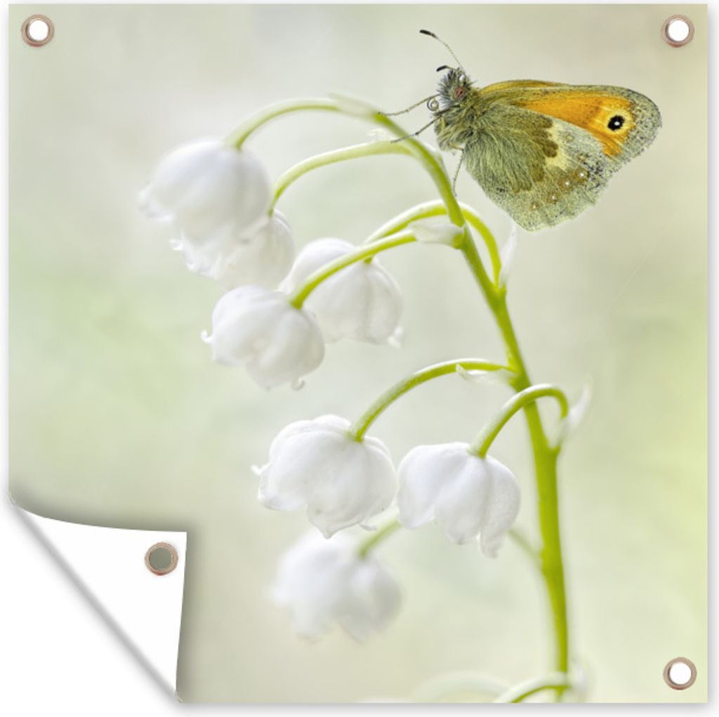 MuchoWow 50x50 cm Outdoor-Poster Gartendeko Sichtschutz Garten Poster für den Garten Ein Schmetterling auf einem Maiglöckchen
