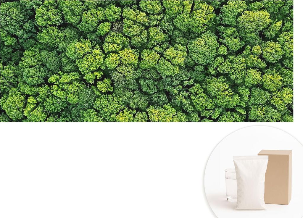 Fototapete - Wandbilder für Wohnzimmer - 208x146 cm - Dekorative Wandfolie - Modernes Design für Wanddekoration - Tapeten für Innenräume - Wald...