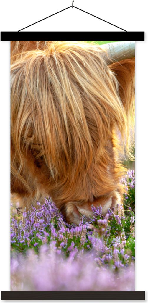MuchoWow Textilposter Schottische Hochlandrind - Gras - Heidekraut - Tiere 60x120 cm mit schwarzem Rahmen - Magnete