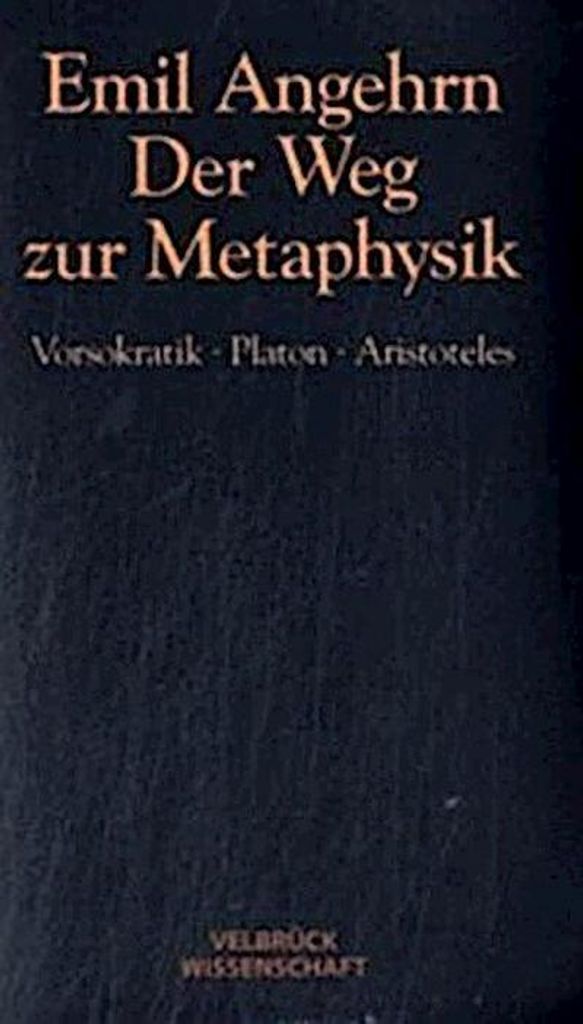 Der Weg zur Metaphysik