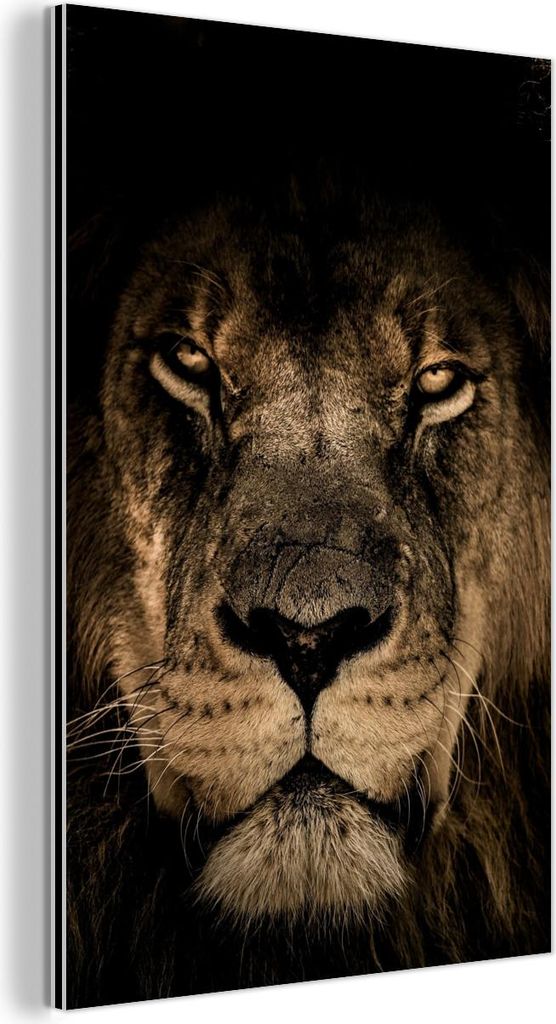 MuchoWow Wanddekoration Metall Metallbild Wandkunst 100x150 cm Löwe - Tiere - Schwarz - Porträt MuchoWow Aluminium Gemälde - Bild