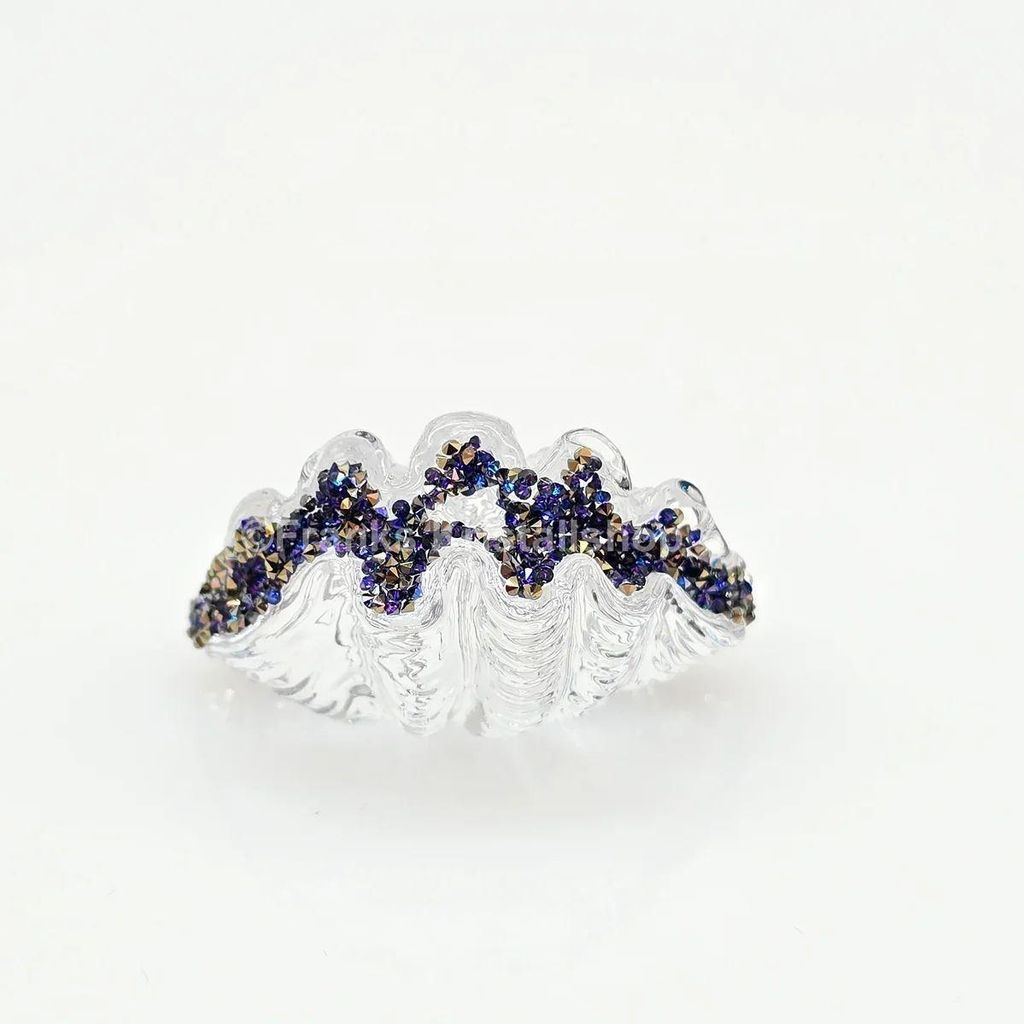 Swarovski SCS:LOYALTY GIFT 2025 SCS Treuegeschenk 2025 Imagen del producto 