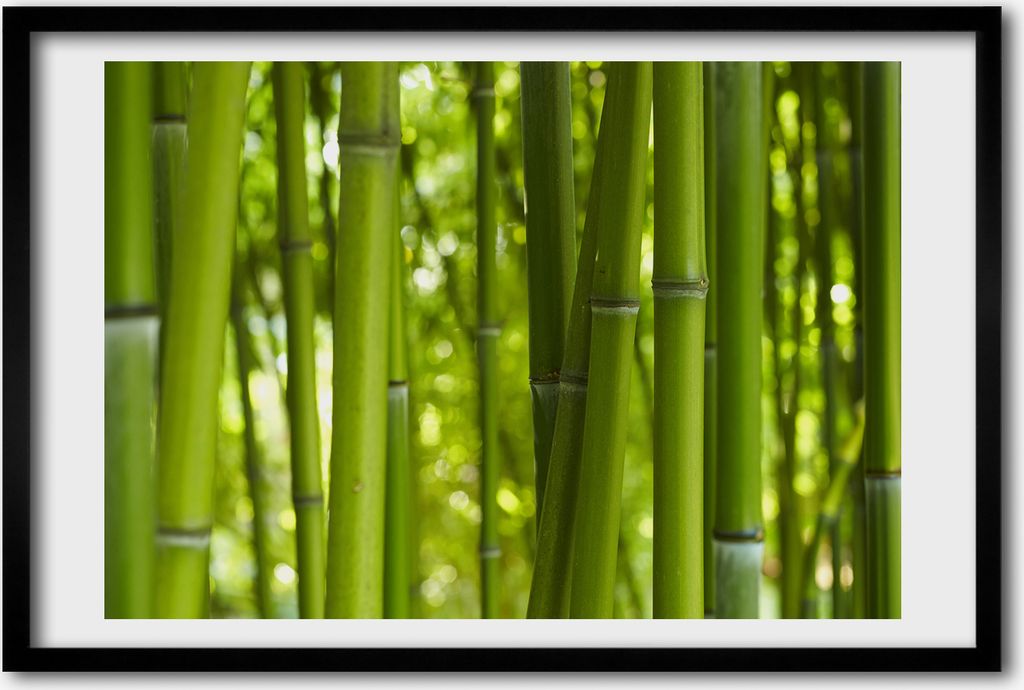 Bild 60x40 MDF-Rahmen, Wandkunst Bambus